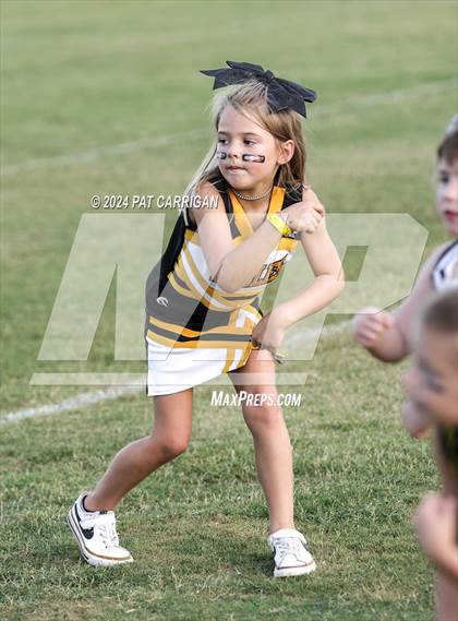 Thumbnail 3 in Goldthwaite photogallery.