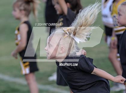 Thumbnail 3 in Goldthwaite photogallery.