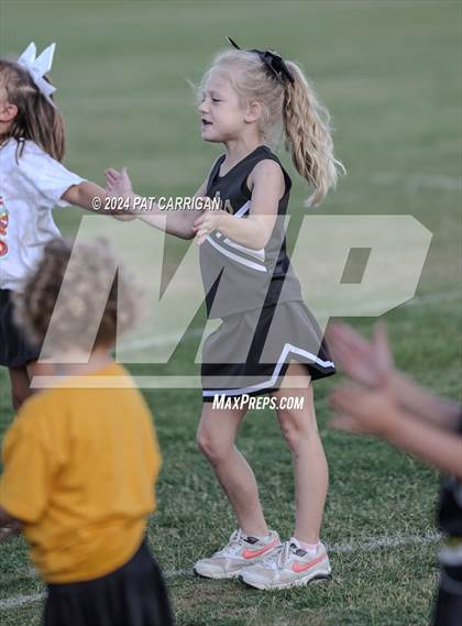 Thumbnail 3 in Goldthwaite photogallery.