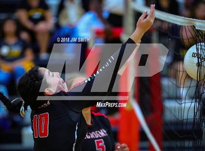 Thumbnail 1 in St. Pius X @ Albuquerque Academy photogallery.