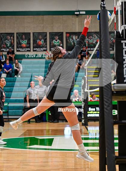 Thumbnail 2 in McMullen County vs Richards (UIL Volleyball 1A Region III Semifinal) photogallery.