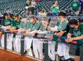 Photo from the gallery "Flagstaff @ Coconino"