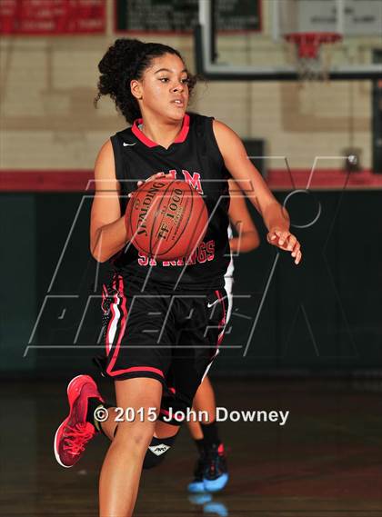 Thumbnail 3 in Palm Springs vs. Arlington (Lady Bears Holiday Classic) photogallery.