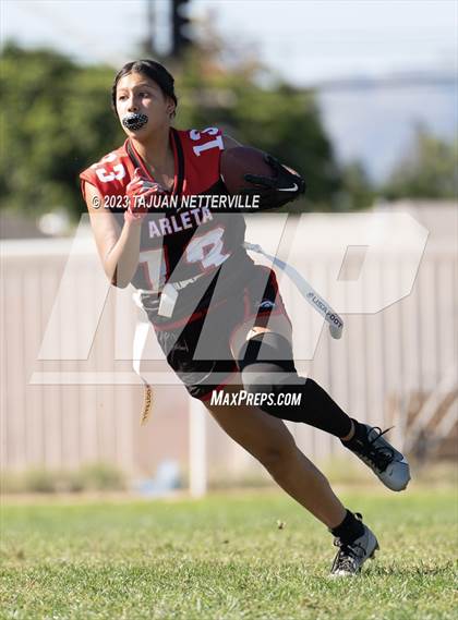 Thumbnail 3 in Arleta @ Van Nuys photogallery.