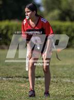 Photo from the gallery "Arleta @ Van Nuys"