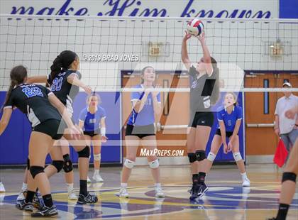 Thumbnail 2 in Mount Juliet Christian Academy @ Donelson Christian Academy photogallery.