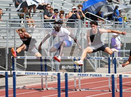 Thumbnail 1 in Puma Rise and Shine Invitational (Hurdles) photogallery.