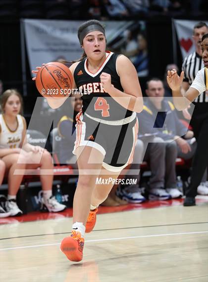 Thumbnail 3 in Springfield vs. Toledo Christian (OHSAA D4 State Semifinal) photogallery.