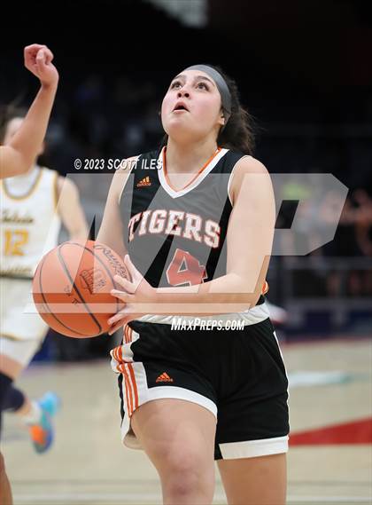 Thumbnail 3 in Springfield vs. Toledo Christian (OHSAA D4 State Semifinal) photogallery.