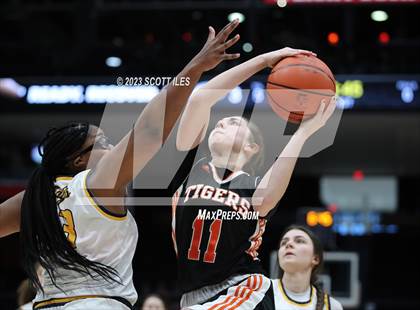 Thumbnail 2 in Springfield vs. Toledo Christian (OHSAA D4 State Semifinal) photogallery.