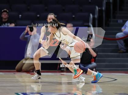 Thumbnail 1 in Springfield vs. Toledo Christian (OHSAA D4 State Semifinal) photogallery.