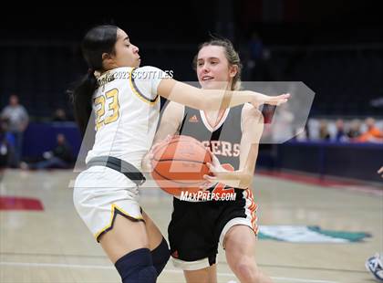 Thumbnail 1 in Springfield vs. Toledo Christian (OHSAA D4 State Semifinal) photogallery.