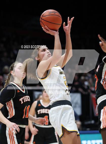Thumbnail 3 in Springfield vs. Toledo Christian (OHSAA D4 State Semifinal) photogallery.