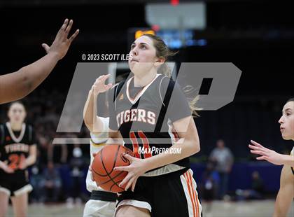 Thumbnail 1 in Springfield vs. Toledo Christian (OHSAA D4 State Semifinal) photogallery.