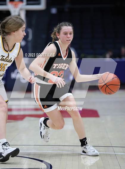Thumbnail 1 in Springfield vs. Toledo Christian (OHSAA D4 State Semifinal) photogallery.