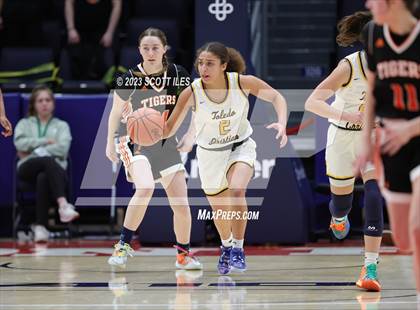 Thumbnail 3 in Springfield vs. Toledo Christian (OHSAA D4 State Semifinal) photogallery.
