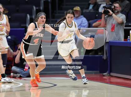 Thumbnail 1 in Springfield vs. Toledo Christian (OHSAA D4 State Semifinal) photogallery.