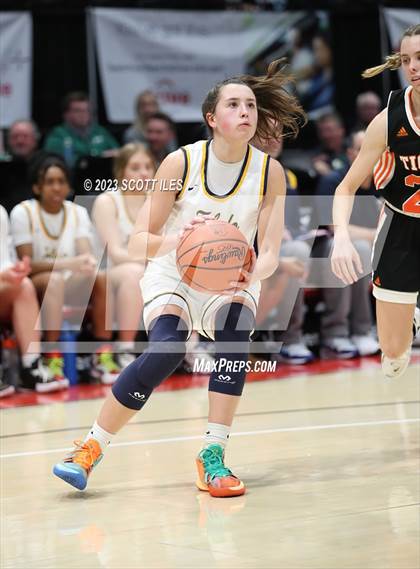 Thumbnail 3 in Springfield vs. Toledo Christian (OHSAA D4 State Semifinal) photogallery.