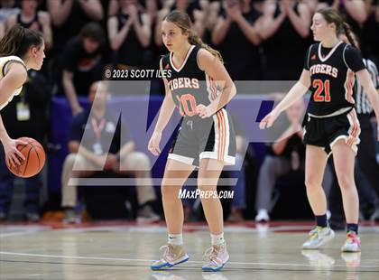 Thumbnail 3 in Springfield vs. Toledo Christian (OHSAA D4 State Semifinal) photogallery.