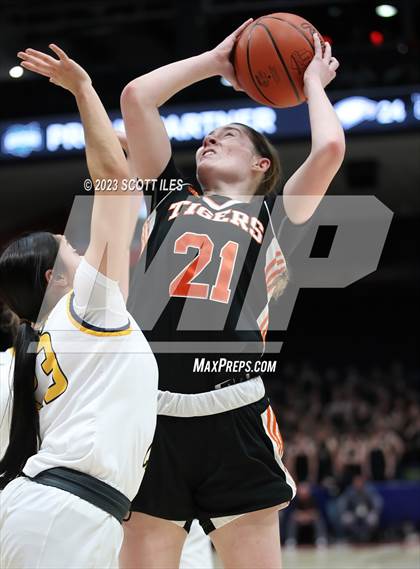 Thumbnail 2 in Springfield vs. Toledo Christian (OHSAA D4 State Semifinal) photogallery.