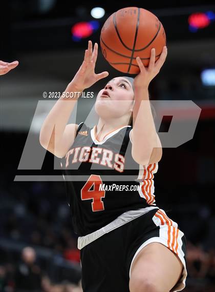 Thumbnail 1 in Springfield vs. Toledo Christian (OHSAA D4 State Semifinal) photogallery.