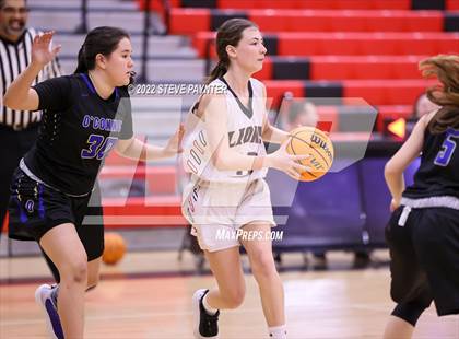 Thumbnail 3 in O'Connor vs Liberty photogallery.