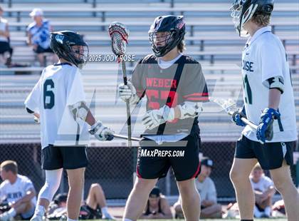 Thumbnail 1 in Weber @ Syracuse photogallery.