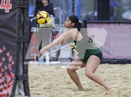 Thumbnail 1 in Canyon vs. Long Beach Poly photogallery.