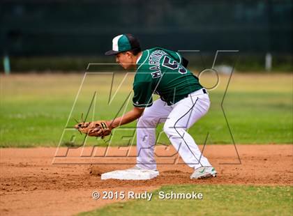 Thumbnail 2 in Ramona @ Oceanside  photogallery.