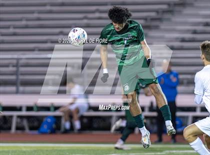 Thumbnail 2 in Titusville @ Melbourne photogallery.