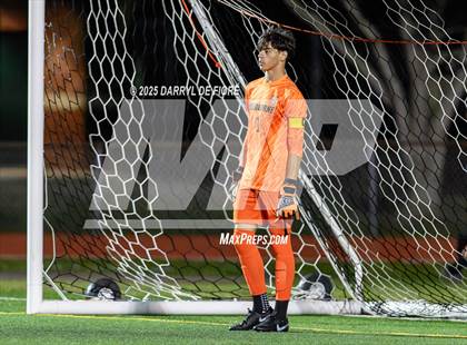 Thumbnail 2 in Titusville @ Melbourne photogallery.