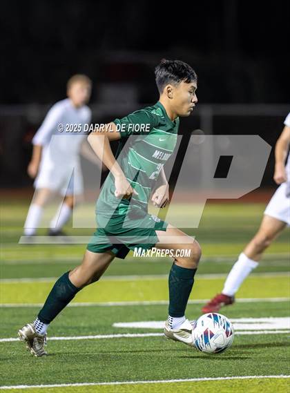 Thumbnail 2 in Titusville @ Melbourne photogallery.