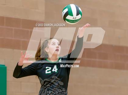 Thumbnail 3 in Pahrump Valley @ Virgin Valley photogallery.