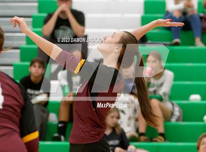 Thumbnail 1 in Pahrump Valley @ Virgin Valley photogallery.