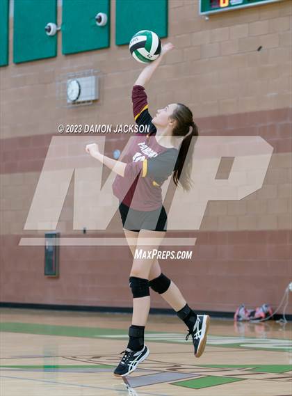 Thumbnail 2 in Pahrump Valley @ Virgin Valley photogallery.