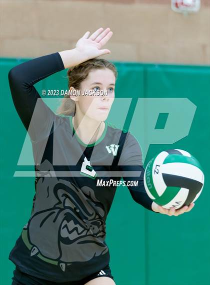 Thumbnail 1 in Pahrump Valley @ Virgin Valley photogallery.