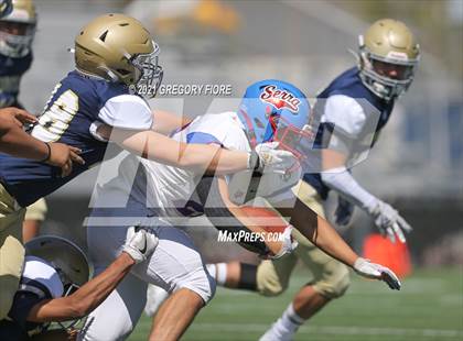 Thumbnail 3 in Serra @ Notre Dame photogallery.