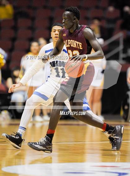 Thumbnail 2 in Salpointe Catholic vs. Shadow Mountain (AIA Dvision 4A Final) photogallery.
