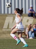 Photo from the gallery "Monarch @ Columbine"