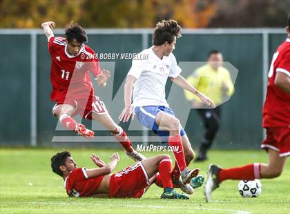 Thumbnail 2 in McLane @ Buchanan photogallery.