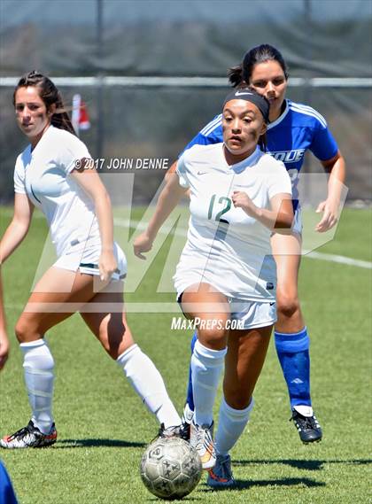 Thumbnail 2 in Farmington vs. Bosque photogallery.