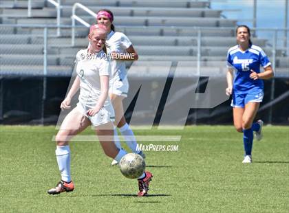 Thumbnail 1 in Farmington vs. Bosque photogallery.