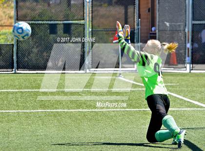 Thumbnail 1 in Farmington vs. Bosque photogallery.