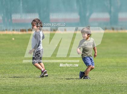 Thumbnail 3 in Mountain View vs. Basic (Boras Classic) photogallery.