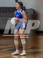 Photo from the gallery "Western Harnett @ Pine Forest"