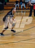 Photo from the gallery "Western Harnett @ Pine Forest"