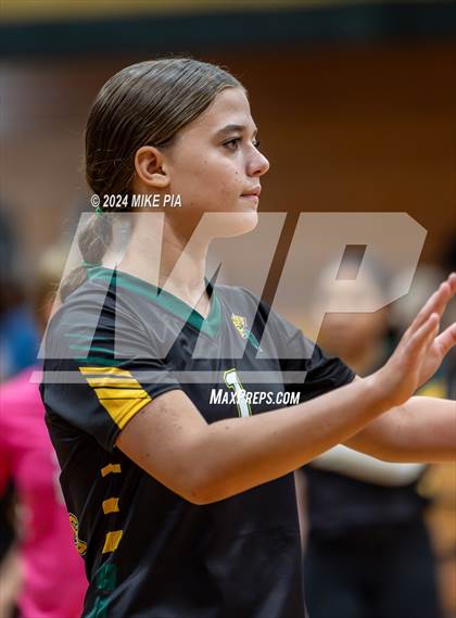 Thumbnail 2 in Western Harnett @ Pine Forest photogallery.