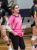 Photo from the gallery "Western Harnett @ Pine Forest"