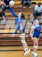 Photo from the gallery "Western Harnett @ Pine Forest"