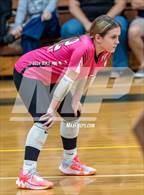 Photo from the gallery "Western Harnett @ Pine Forest"